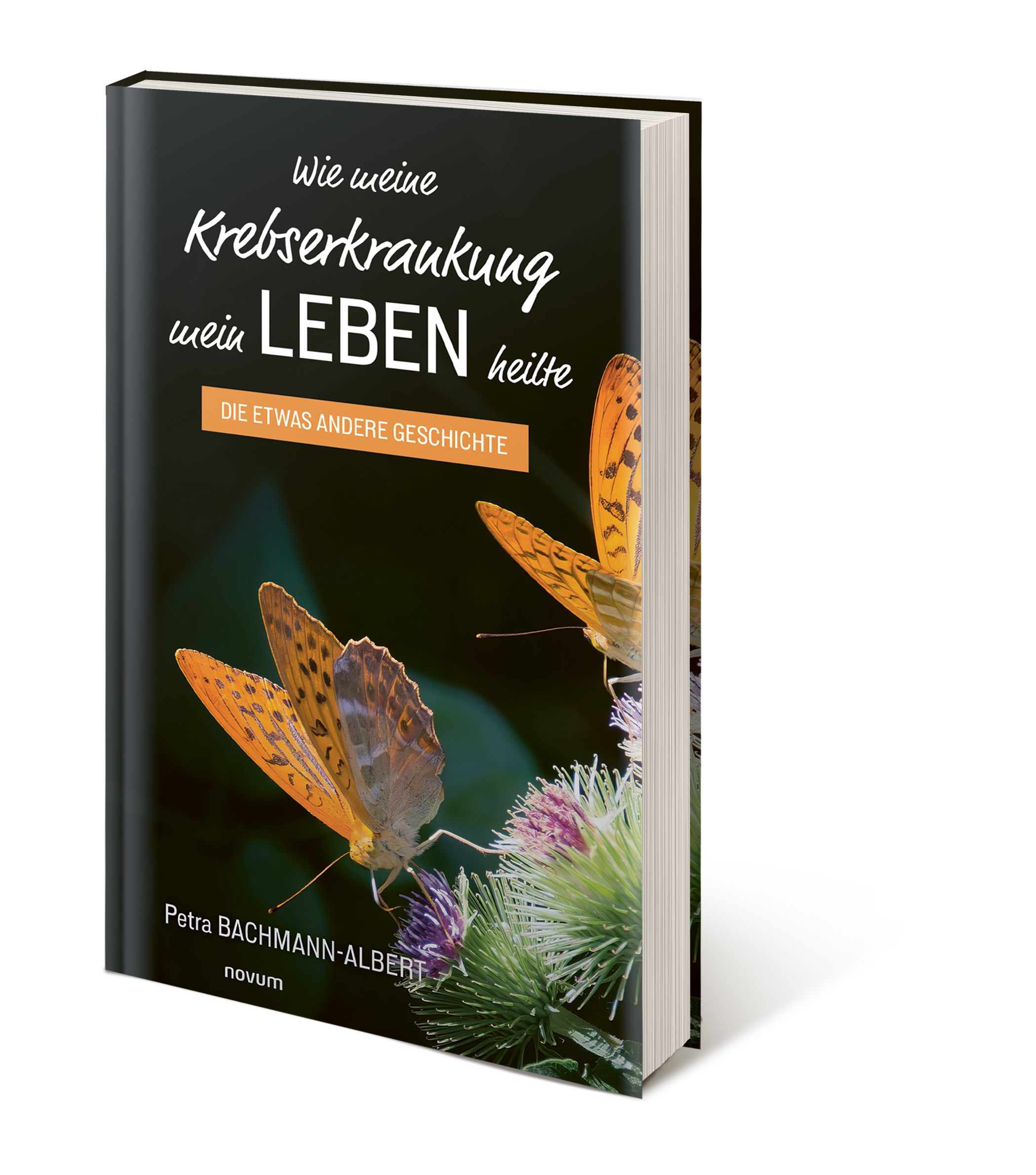 Buch Vorschau